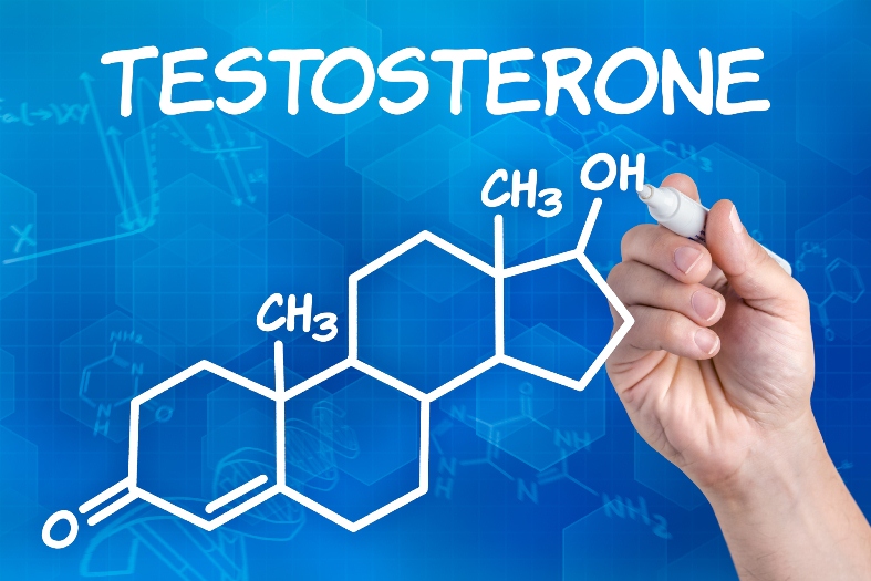 testosterona.jpg